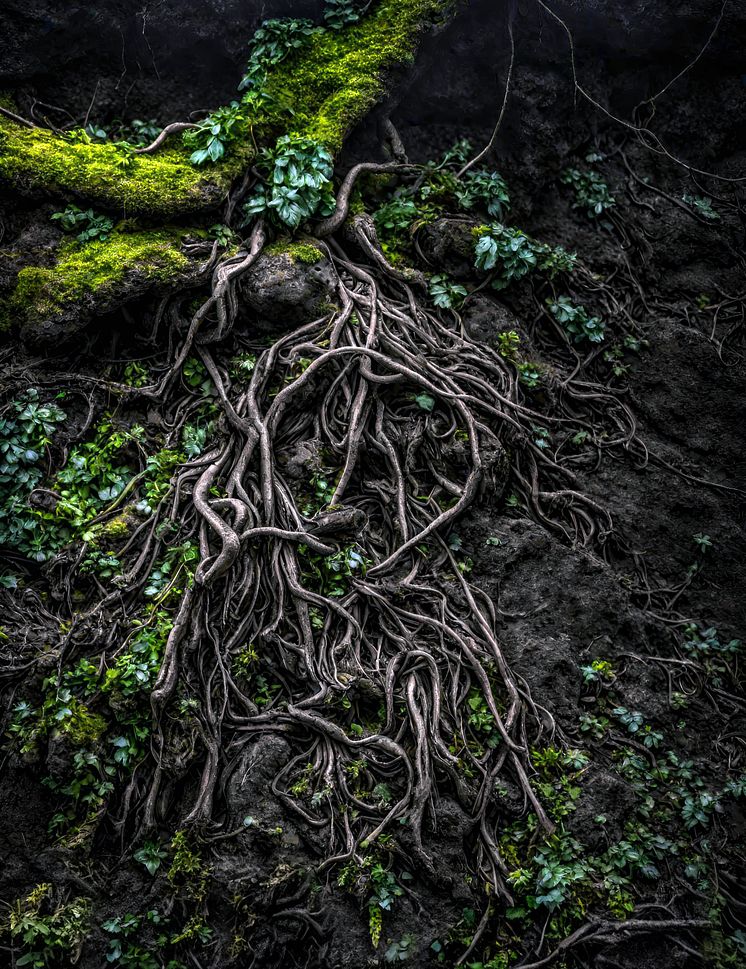The nightside of nature