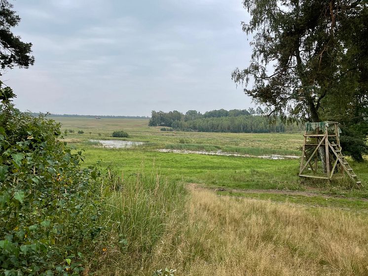 Vatten_Kajsa Edbom (1).png