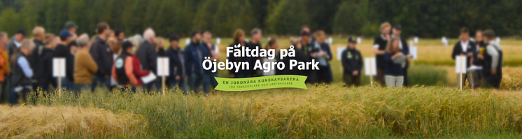 Fältdag ÖAP 24 2.png