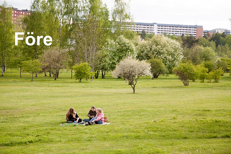 park före efter 1.jpg