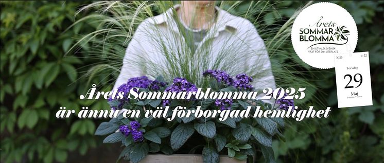 Skärmdump Årets sommarblomma 2025 inför.jpg