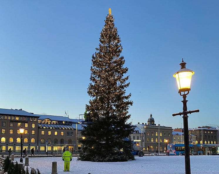 Julgran Gustav Adolfs torg_2023.png