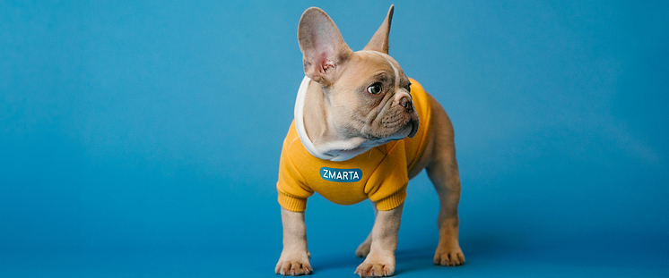 hund_2592x1080 (1).png