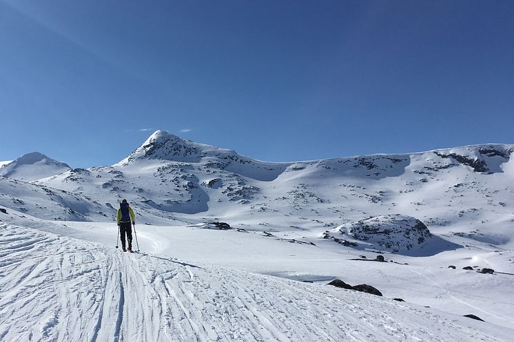 påskefjell_Hemsedal_foto_Anne-Karine- Halse_NILU.jpg