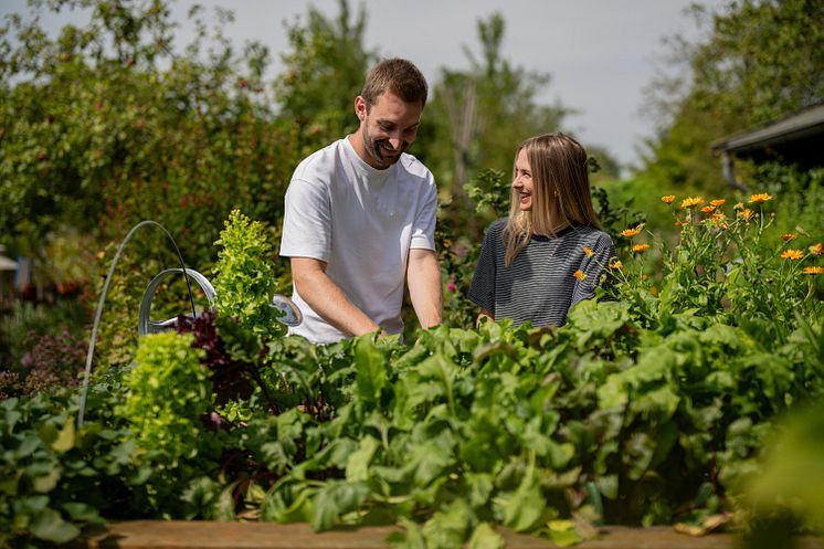 Floragard_Profitipps Hochbeet.jpg
