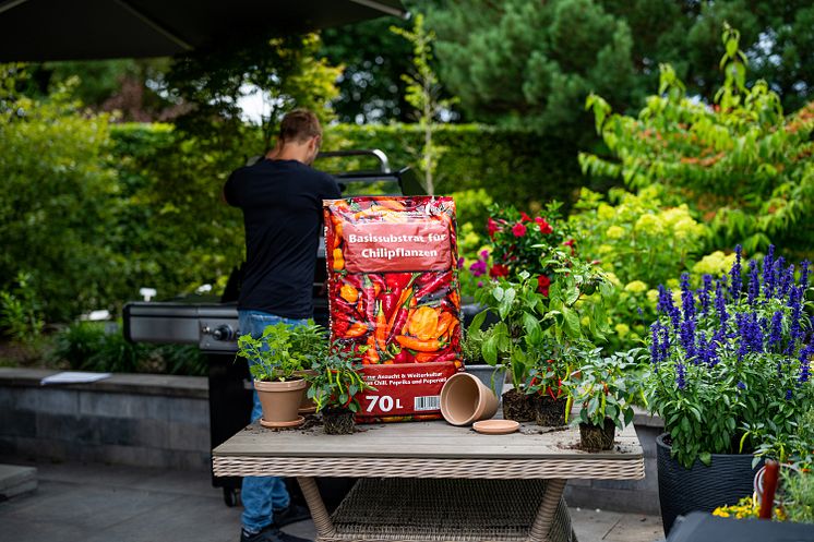 Floragard_Chili-Erde_Pflanztisch.jpg