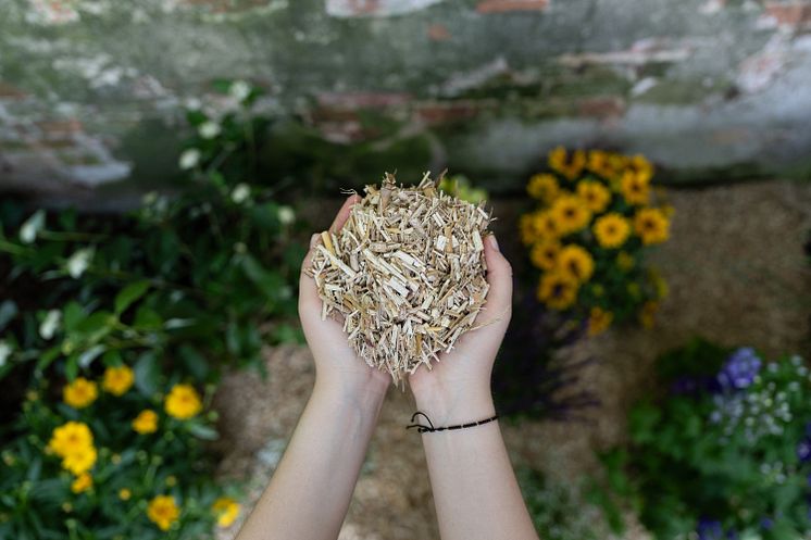 Floragard_Beete schützen mit Mulch.jpg