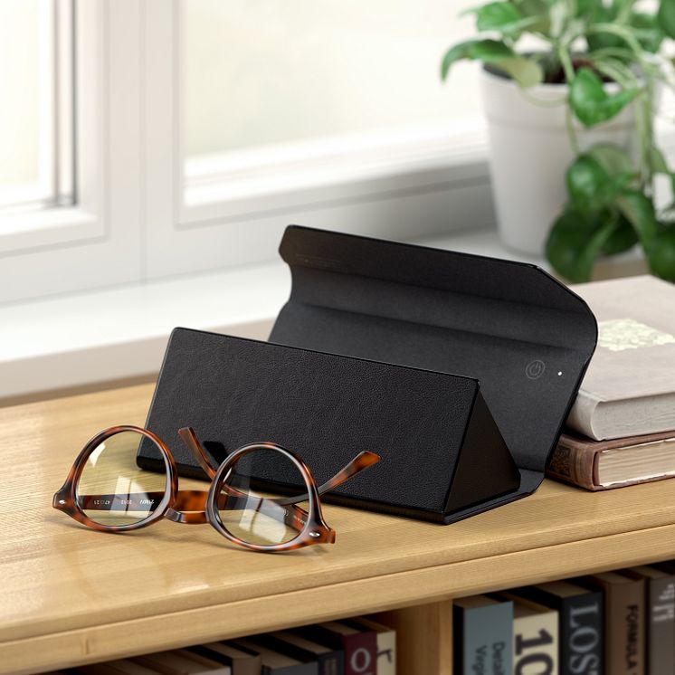 SATECHI_FINDALL_GLASSES_CASE_ENV2.jpg