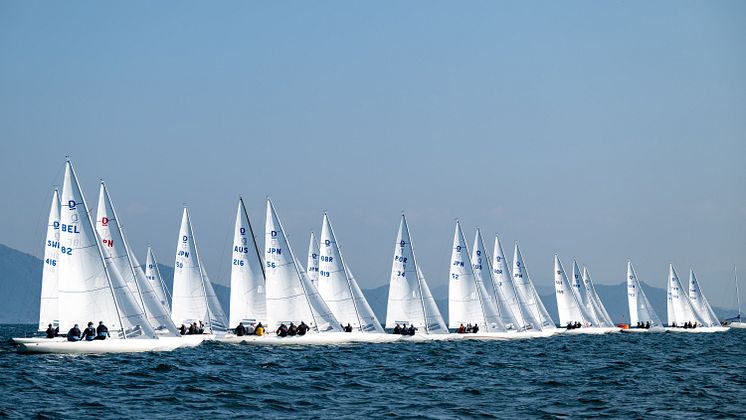 DSC_7573-w.jpg