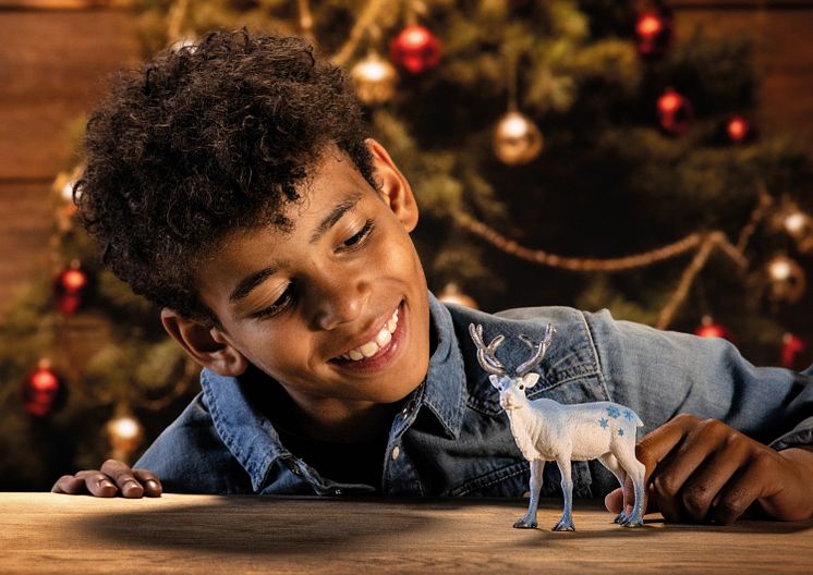 72220_Xmas_cropped_quer_cmyk (002).jpg