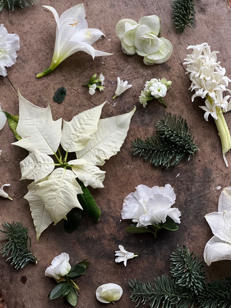 Julblommor_2024_klassiska