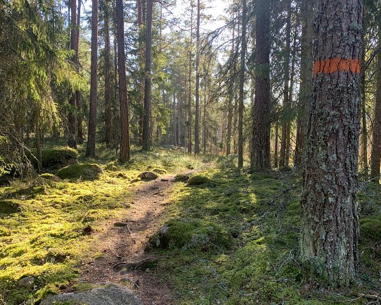 Bruksleden 2. Foto Urban Dimberg