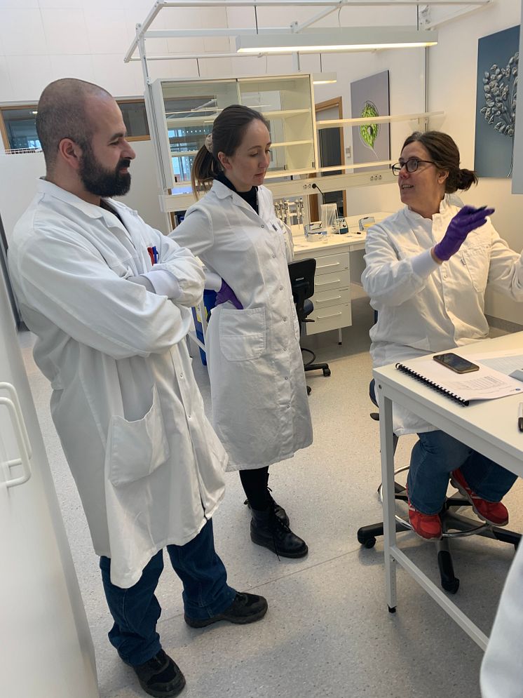 Anocca's BioStart Programme