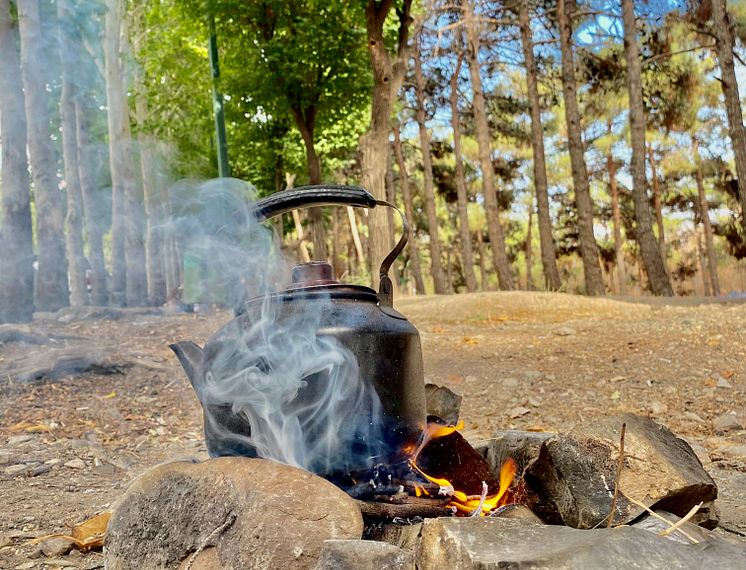 Bålbrenning i skog