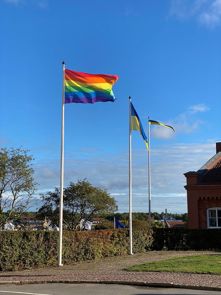 Flagghissning_Pride_22_7.jpg