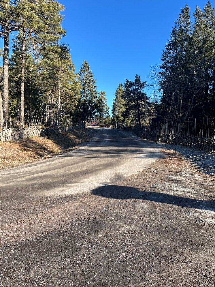 v├ñgen Hemlingby.jpg