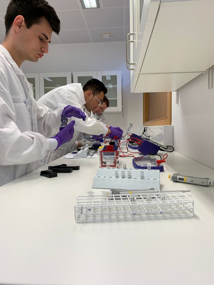 Anocca's BioStart Programme