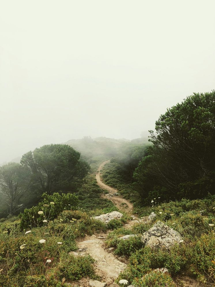 martino-pietropoli-5jz3T5LwuPA-unsplash.jpg