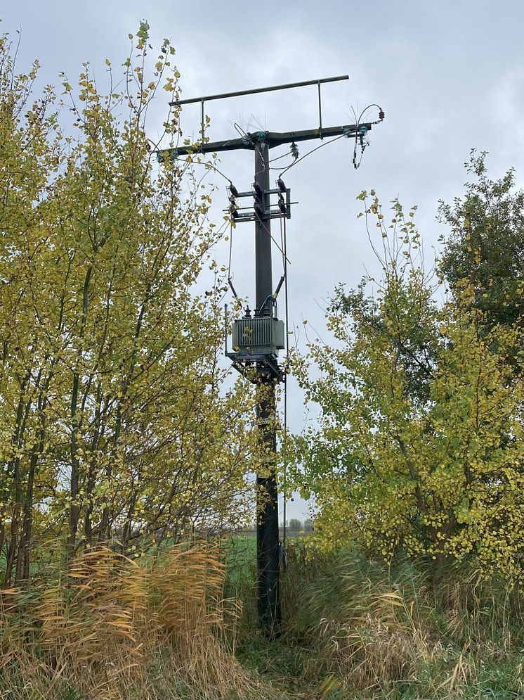 Stationsmast.jpg