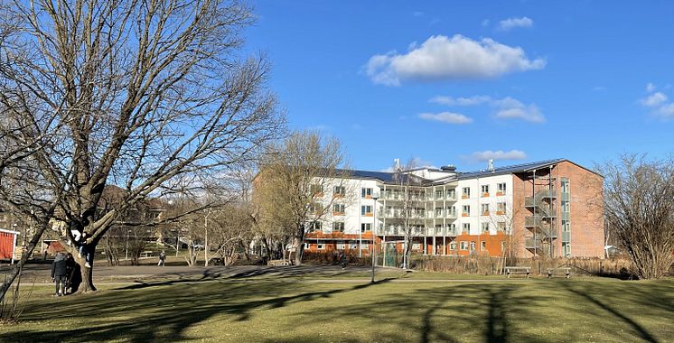 IMG_0609 beskuren.jpg