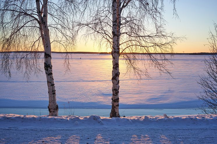 lulea.jpg