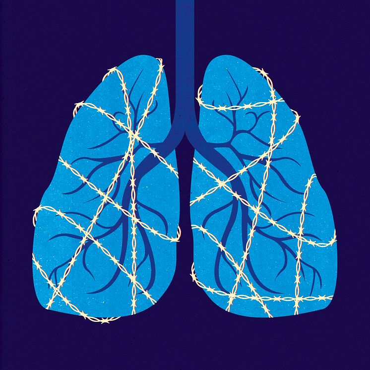 Illustration KOL