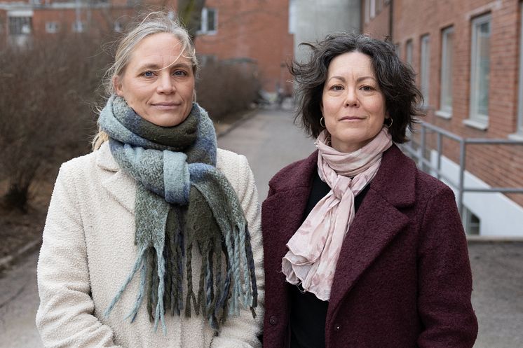 Löfgren och Ryberb Mo bild 2 beskuren 2.jpg