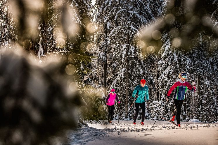Billingen_11- Photo cred Alexander Arnholm