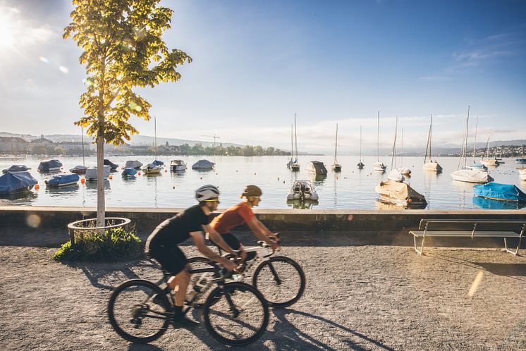 Gravel Bike in der Region Zürich