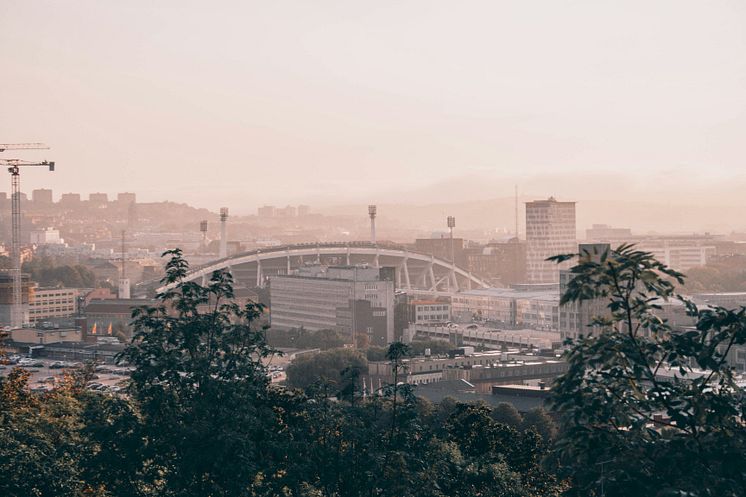 aron-fjell--RJo-qjtuy0-unsplash.jpg