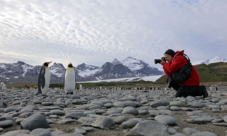 Yadegar Asisi fotografiert Pinguine für das ANTARKTIS-Panorama