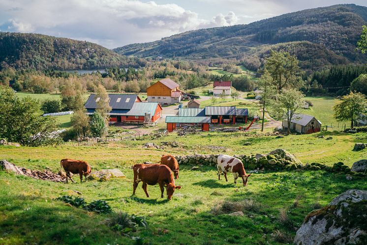25-Ståle Hustoft, foto Torstein Kiserud.jpg