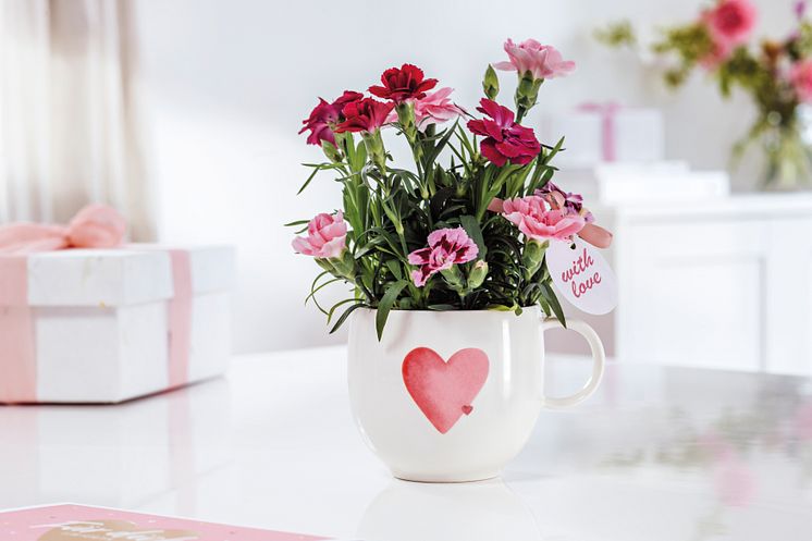 VB_WithLove_Valentinsday_3.jpg