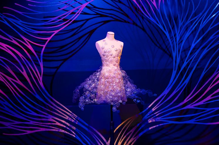 IRIS VAN HERPEN, 2017, Aeriform Look 17, Holland 
