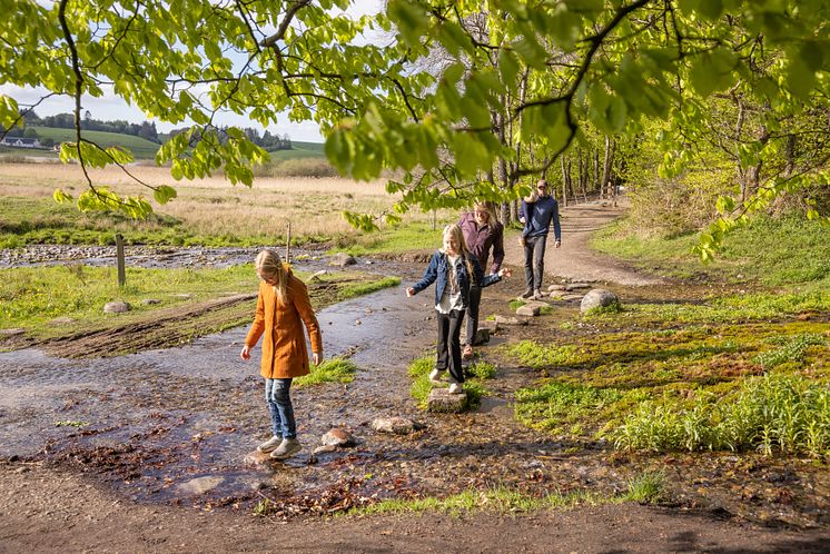 Familie trædesten ravnkilde kilde børn (3).jpg
