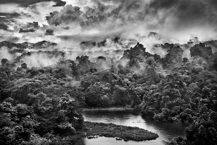 180912-02-04159©Sebastião Salgado.jpg