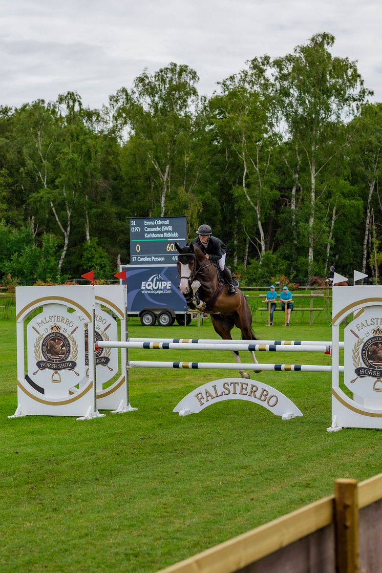 Folksam Open 5-åriga hästar