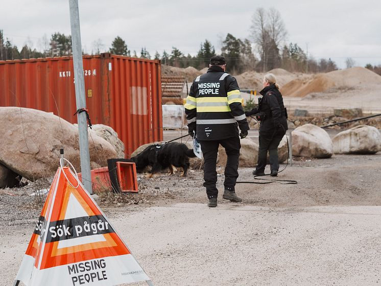 Hundekipage under en sökövning