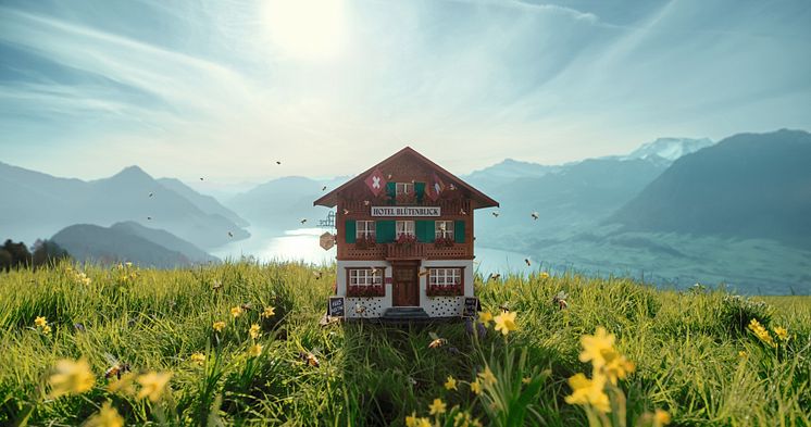 Bienenhotel Blütenblick