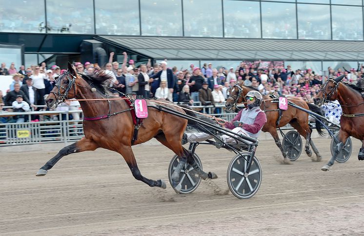 Hohneck mål.jpg