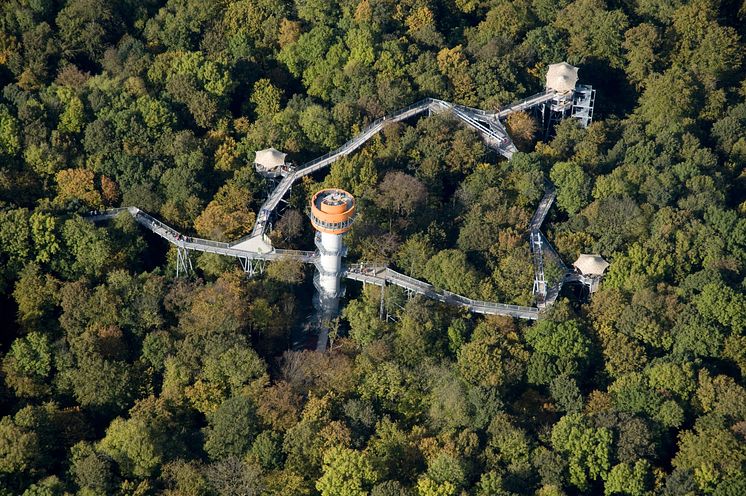 Schönstedt_Baumkronenpfad_im_Nationalpark_Hainich;_Naturhighlight_2016.tif