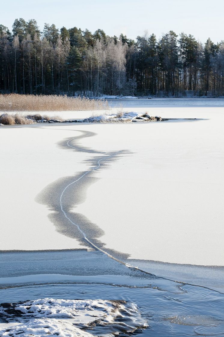 7670243-thin-ice-on-a-lake_foto_Juhani Viitanen.jpg