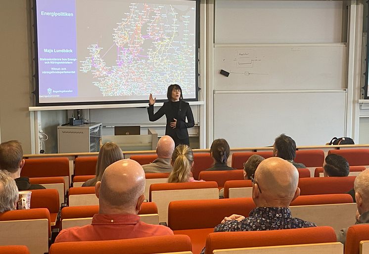 Maja Lundbäcks lunchseminarium 9 april.jpg
