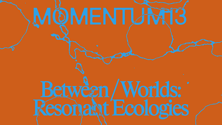 MOMENTUM 13