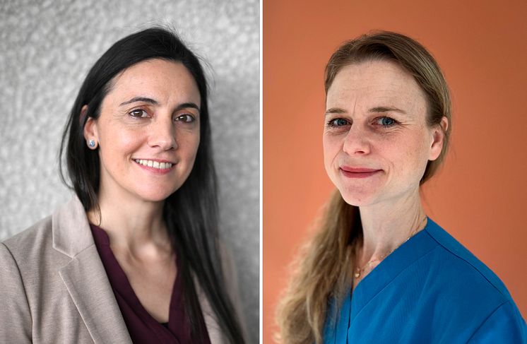 Forskningsstipendium 2025