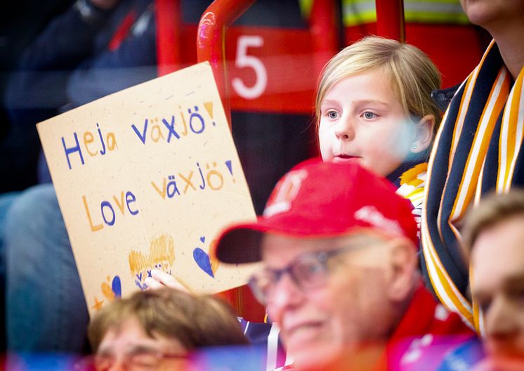 Växjö Lakers - Impact Week.jpg