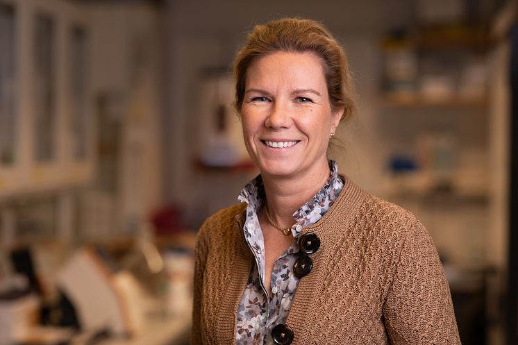 Jenny Nyström.jpg