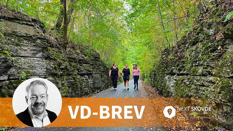 VD-brev november 2024