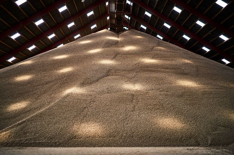 CM Biomass, pellets 2023.jpg