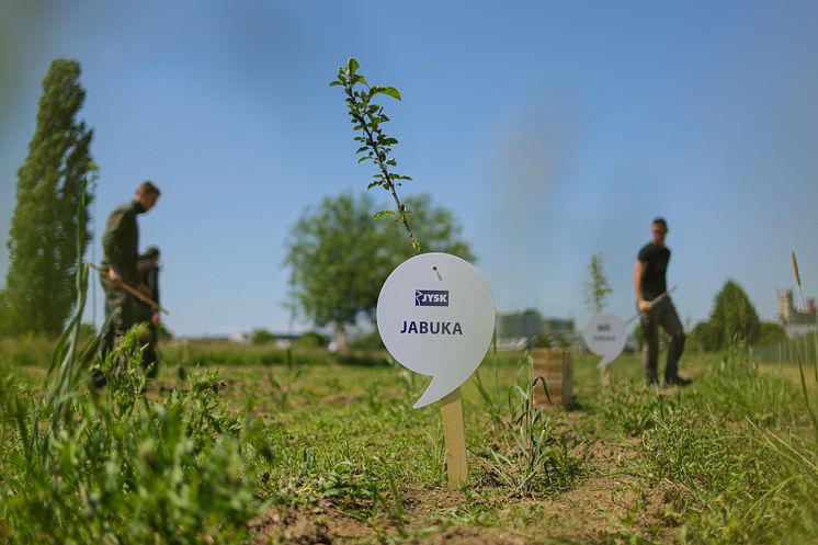 Vrtovi002_lus_140525.jpg